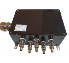 СКП-06.162609-Exe-(24/2,5)-(4/2,5)-5(B)/20S16A2FFC1RAC030-2(D)/757DM25-1(C)/32E1FX1RA5-ПЗ